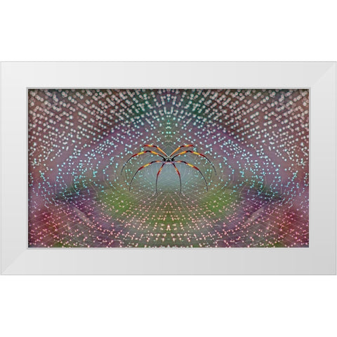Spider White Modern Wood Framed Art Print by Thomopoulos, Thomas