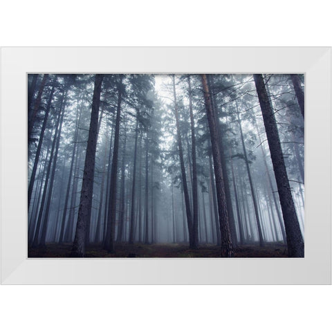 Mysterious Foggy Forest. White Modern Wood Framed Art Print by Charouz, David