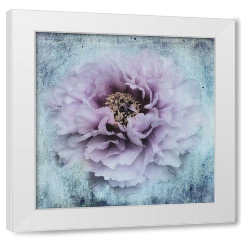 The Season I Love White Modern Wood Framed Art Print by Eisele, Stefan
