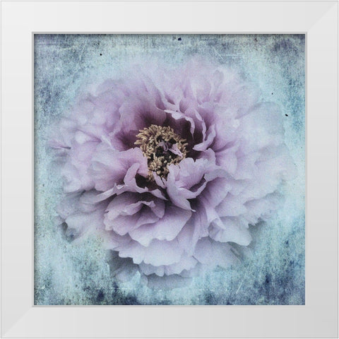 The Season I Love White Modern Wood Framed Art Print by Eisele, Stefan