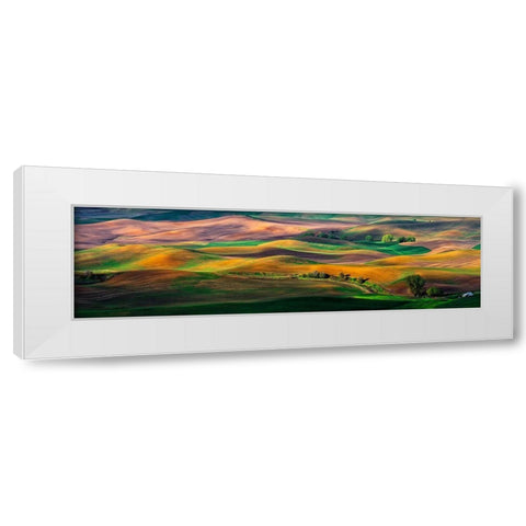The Palouse White Modern Wood Framed Art Print by Zhu, Hua