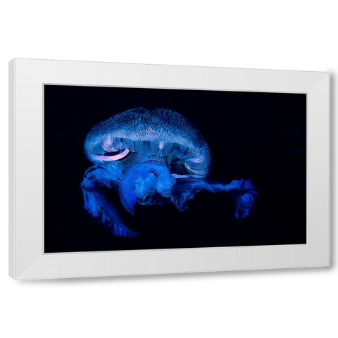 Pelagia Noctiluca 2 White Modern Wood Framed Art Print by Molinari, Romano