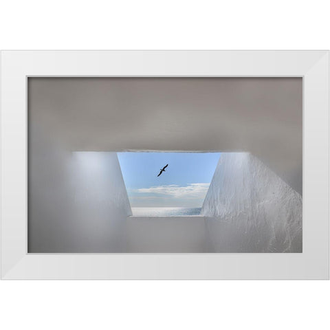 Hope White Modern Wood Framed Art Print by Palceska, Anita