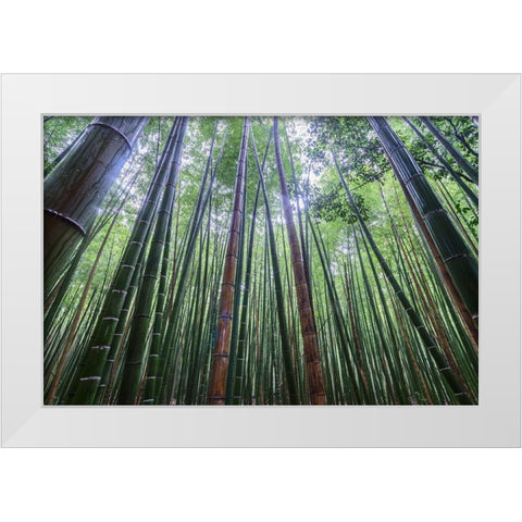 Tall White Modern Wood Framed Art Print by Wrobel, Karsten