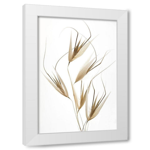Delicacy Of Nature White Modern Wood Framed Art Print by Lagandre, Thierry
