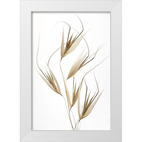 Delicacy Of Nature White Modern Wood Framed Art Print by Lagandre, Thierry
