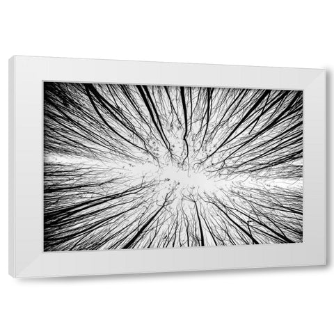 Up To The Sky White Modern Wood Framed Art Print by Denisvesely