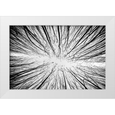 Up To The Sky White Modern Wood Framed Art Print by Denisvesely
