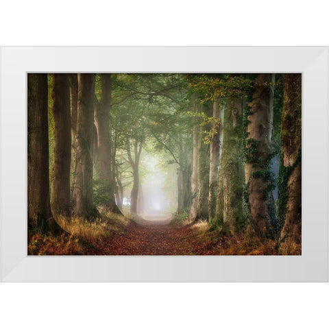 Forward White Modern Wood Framed Art Print by Borggreve, Ellen