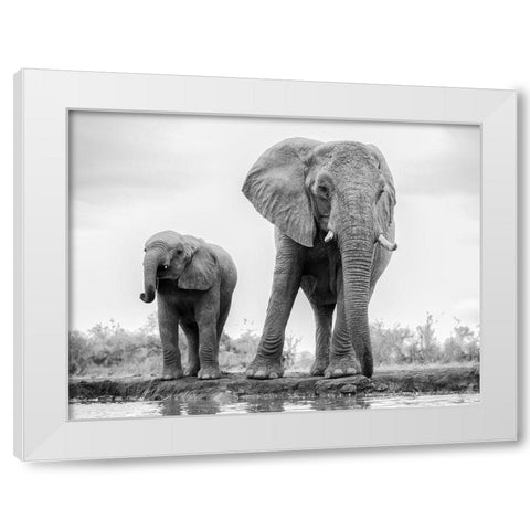 Duo White Modern Wood Framed Art Print by Marx, Jaco