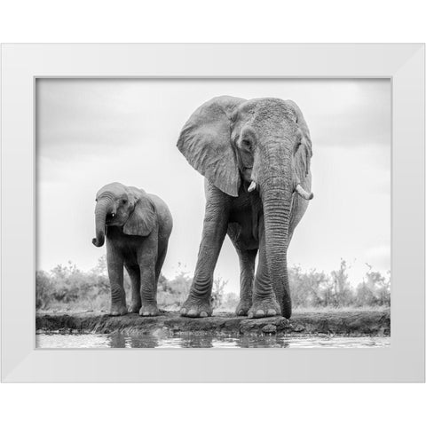 Duo White Modern Wood Framed Art Print by Marx, Jaco