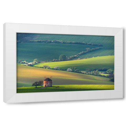 About Forms A Lines White Modern Wood Framed Art Print by Sokolovsky, Vlad