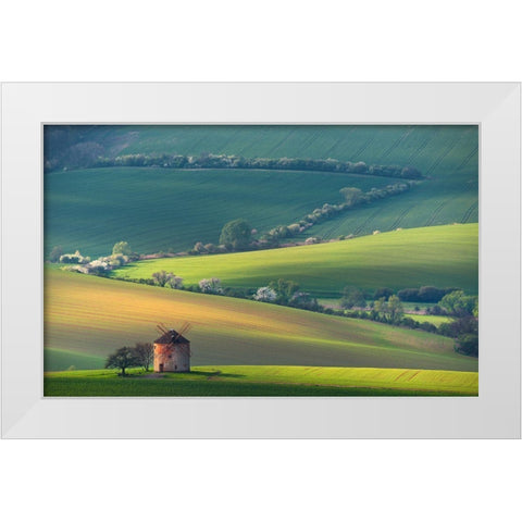 About Forms A Lines White Modern Wood Framed Art Print by Sokolovsky, Vlad