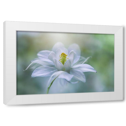 Purity White Modern Wood Framed Art Print by Parker, Jacky