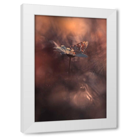 Pyrotechnics White Modern Wood Framed Art Print by Bravin, Fabien