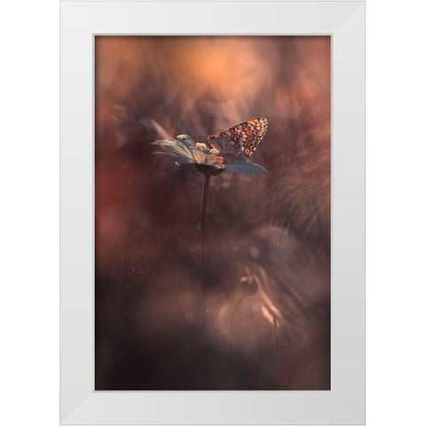 Pyrotechnics White Modern Wood Framed Art Print by Bravin, Fabien