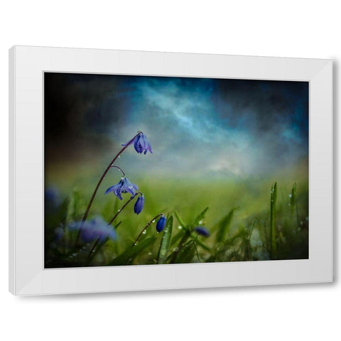 After The Spring Rain White Modern Wood Framed Art Print by Kvarnstrom, Asmund