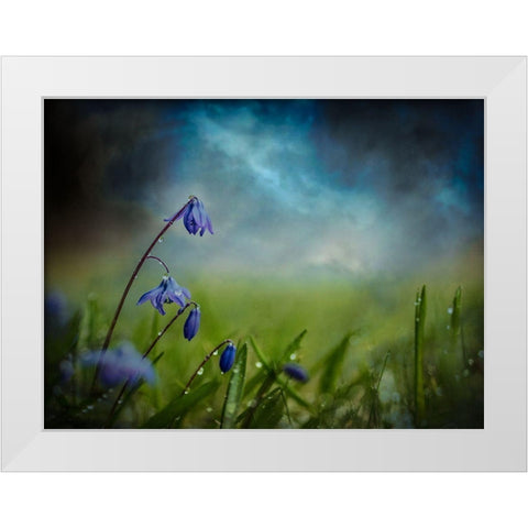 After The Spring Rain White Modern Wood Framed Art Print by Kvarnstrom, Asmund