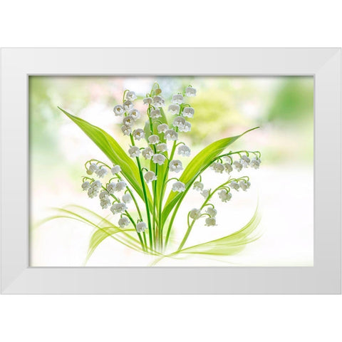 Lily Of The Valley White Modern Wood Framed Art Print by Parker, Jacky