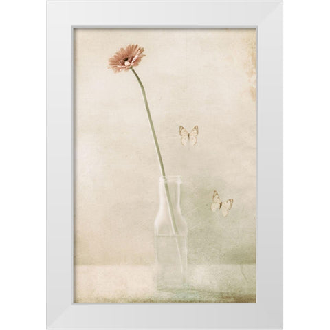 Miss Daisy White Modern Wood Framed Art Print by Devos, Delphine