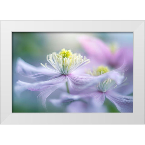 Sway White Modern Wood Framed Art Print by Parker, Jacky