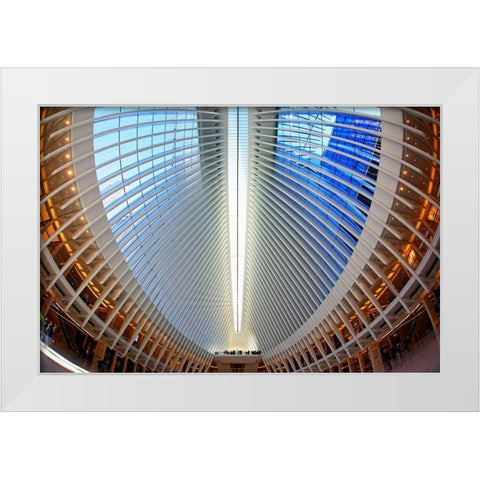 Oculus White Modern Wood Framed Art Print by Fleckenstein, Martin