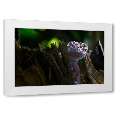 Cute Smile White Modern Wood Framed Art Print by Maududdin, Fauzan