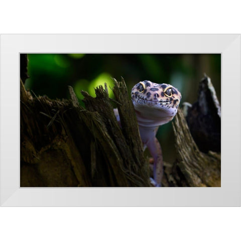 Cute Smile White Modern Wood Framed Art Print by Maududdin, Fauzan