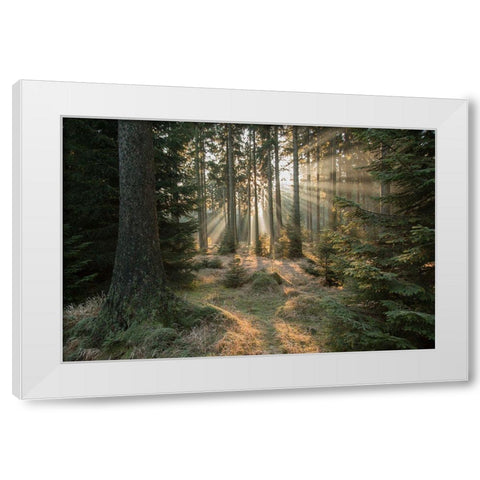 Rays-Part 2 White Modern Wood Framed Art Print by Croce, Vincent