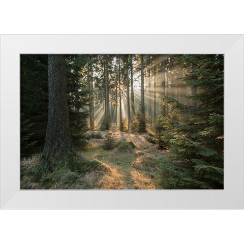 Rays-Part 2 White Modern Wood Framed Art Print by Croce, Vincent