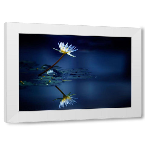 Reflection White Modern Wood Framed Art Print by Suzuki, Takashi