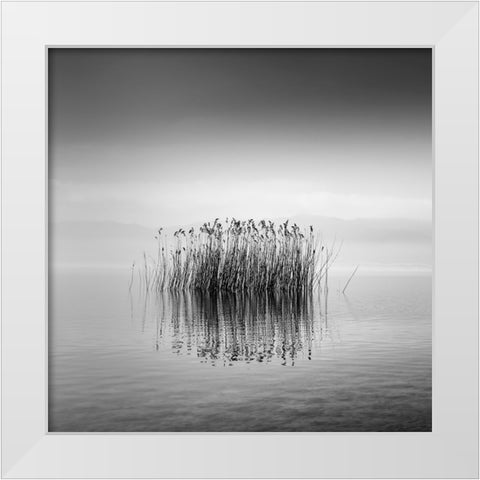 Black And White Silence White Modern Wood Framed Art Print by Digalakis, George