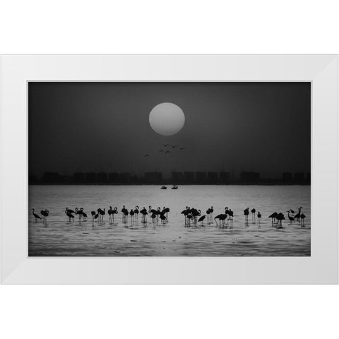 At A Glance White Modern Wood Framed Art Print by Thabet, Ahmed