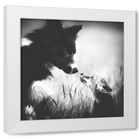 ... First Contact ... White Modern Wood Framed Art Print by Gerec, Pali