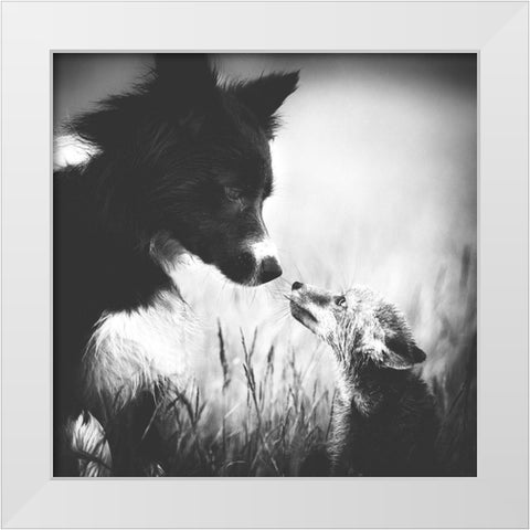 ... First Contact ... White Modern Wood Framed Art Print by Gerec, Pali