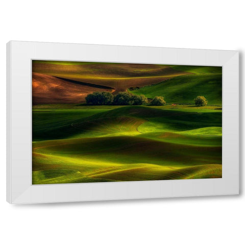 Spring In The Palouse White Modern Wood Framed Art Print by Jacobs, Lydia