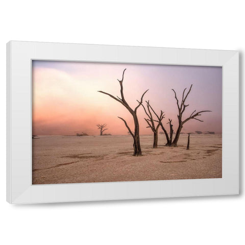 Fog In Deadvlei White Modern Wood Framed Art Print by Damico, Giuseppe