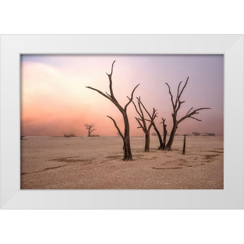 Fog In Deadvlei White Modern Wood Framed Art Print by Damico, Giuseppe