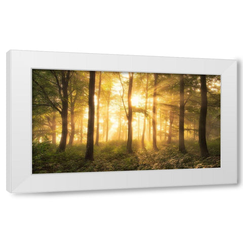 Its Nice To Love....... White Modern Wood Framed Art Print by Londal, Leif