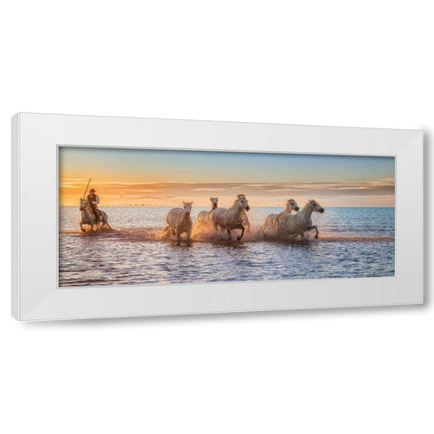 Camargue Horses Ii White Modern Wood Framed Art Print by Figueras Barranco, Antoni