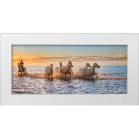 Camargue Horses Ii White Modern Wood Framed Art Print by Figueras Barranco, Antoni