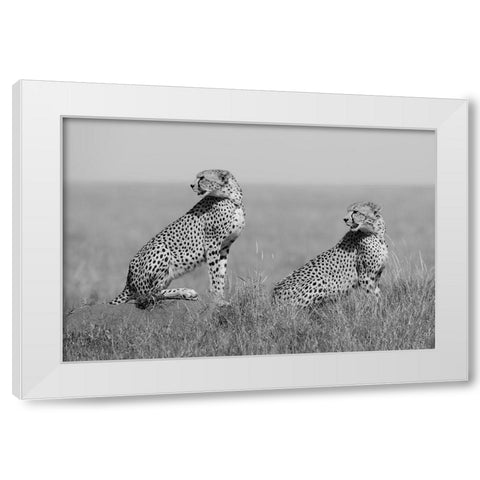 Whats Going On Here Around? White Modern Wood Framed Art Print by Pozzi, Marco