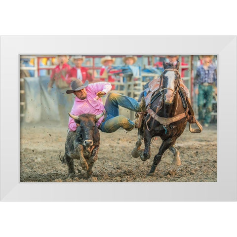 Steer Wrestling White Modern Wood Framed Art Print by Hua, David