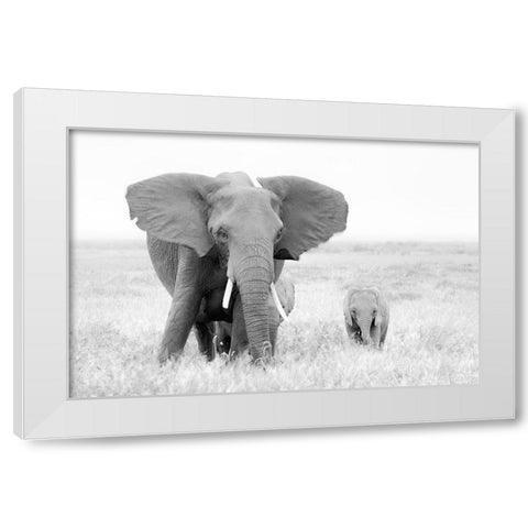 Stay Away! White Modern Wood Framed Art Print by Fan, John