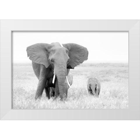 Stay Away! White Modern Wood Framed Art Print by Fan, John