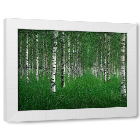 The Tunnel White Modern Wood Framed Art Print by Lindsten, Christian