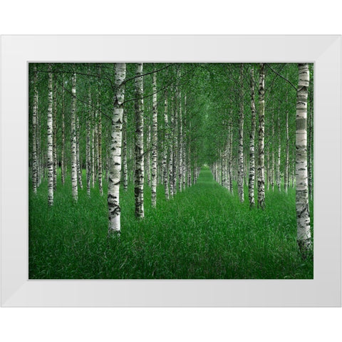 The Tunnel White Modern Wood Framed Art Print by Lindsten, Christian
