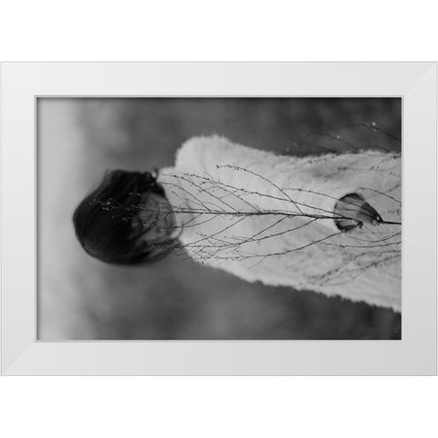 Winter White Modern Wood Framed Art Print by Wetton, Eddie