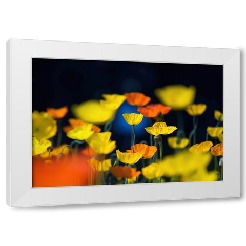 One Point White Modern Wood Framed Art Print by Suzuki, Takashi