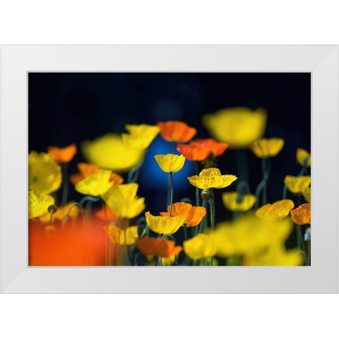 One Point White Modern Wood Framed Art Print by Suzuki, Takashi